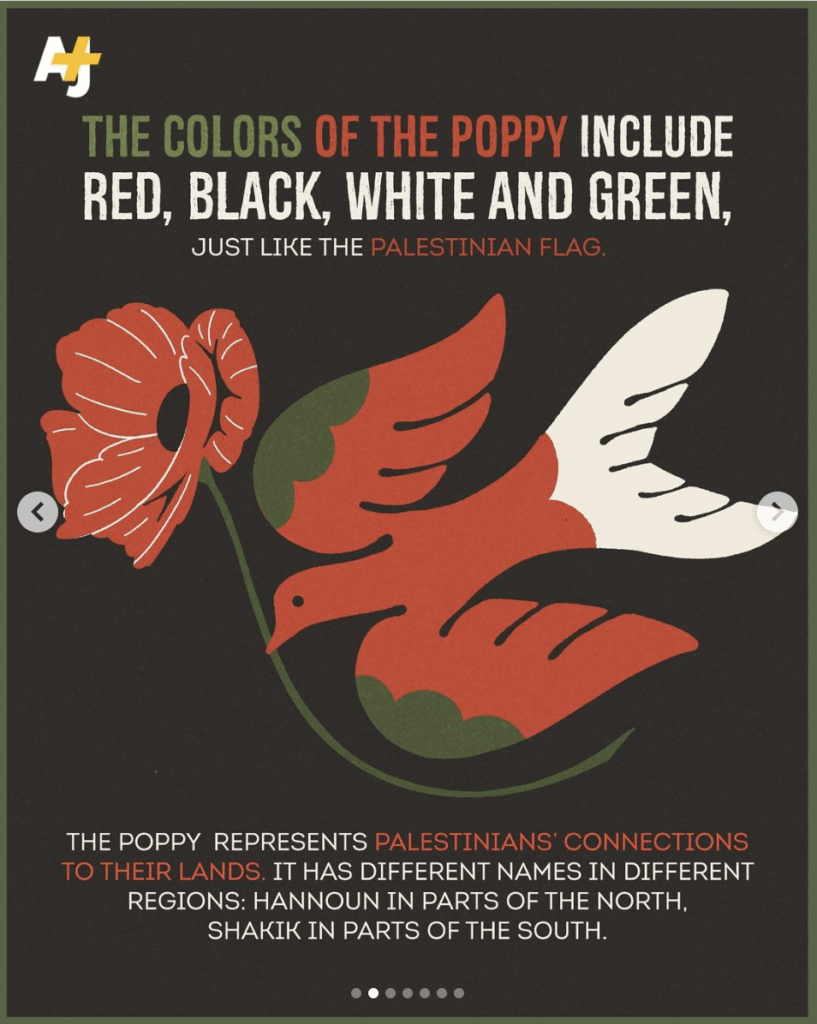 Palestine Poppy AJ+ 2